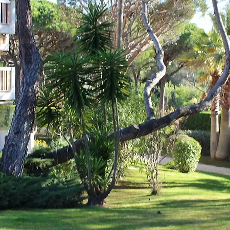 Apartamento Studio Avenue Des Golfs *